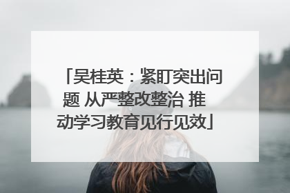 吴桂英：紧盯突出问题 从严整改整治 推动学习教育见行见效