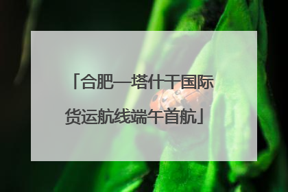 合肥—塔什干国际货运航线端午首航