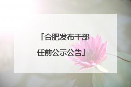 合肥发布干部任前公示公告