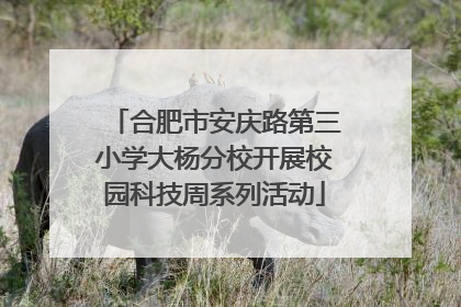 合肥市安庆路第三小学大杨分校开展校园科技周系列活动