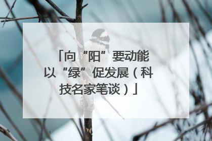 向“阳”要动能 以“绿”促发展（科技名家笔谈）