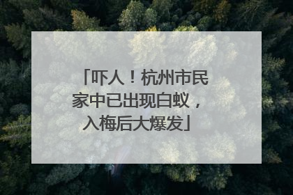 吓人！杭州市民家中已出现白蚁，入梅后大爆发