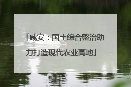 咸安：国土综合整治助力打造现代农业高地