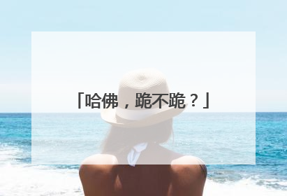 哈佛，跪不跪？