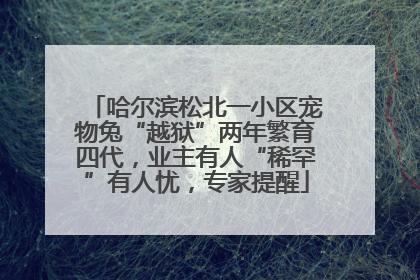 哈尔滨松北一小区宠物兔“越狱”两年繁育四代，业主有人“稀罕”有人忧，专家提醒