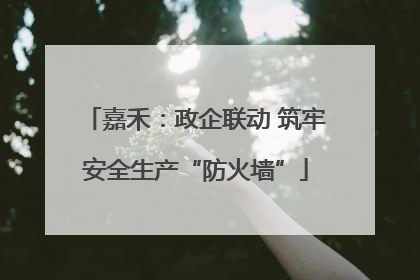 嘉禾：政企联动 筑牢安全生产“防火墙”