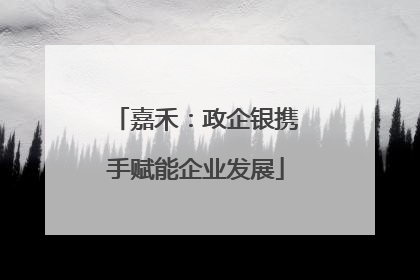 嘉禾：政企银携手赋能企业发展