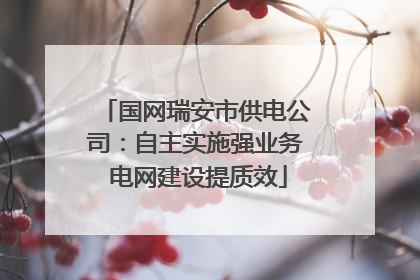 国网瑞安市供电公司：自主实施强业务 电网建设提质效
