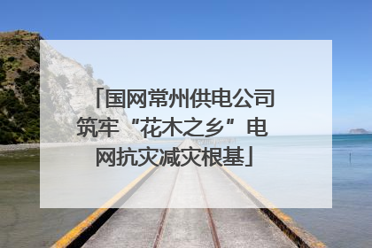 国网常州供电公司筑牢“花木之乡”电网抗灾减灾根基