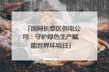 国网长泰区供电公司：守护绿色生产赋能世界环境日