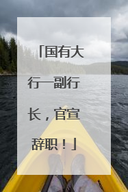 国有大行一副行长，官宣辞职！