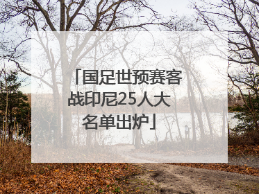 国足世预赛客战印尼25人大名单出炉