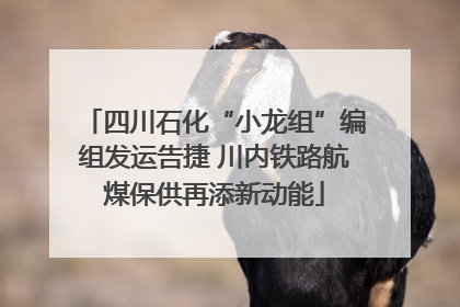四川石化“小龙组”编组发运告捷 川内铁路航煤保供再添新动能