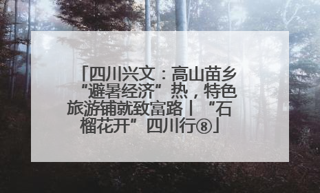 四川兴文：高山苗乡“避暑经济”热，特色旅游铺就致富路丨“石榴花开”四川行⑧