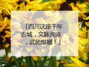 四川这座千年古城，文脉充沛，武德爆棚！