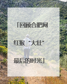 回顾合肥网红猴“大壮”最后的时光
