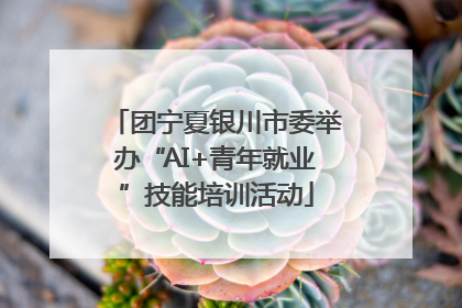 团宁夏银川市委举办“AI+青年就业”技能培训活动