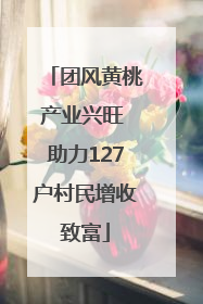 团风黄桃产业兴旺 助力127户村民增收致富