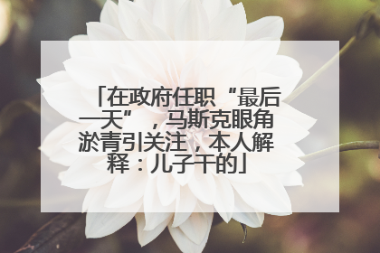 在政府任职“最后一天”，马斯克眼角淤青引关注，本人解释：儿子干的