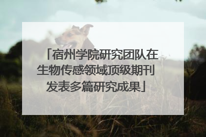 宿州学院研究团队在生物传感领域顶级期刊发表多篇研究成果