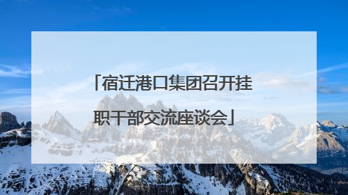 宿迁港口集团召开挂职干部交流座谈会