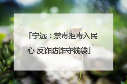 宁远：禁毒拒毒入民心 反诈防诈守钱袋