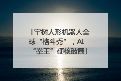 宇树人形机器人全球“格斗秀”，AI“拳王”硬核破圈