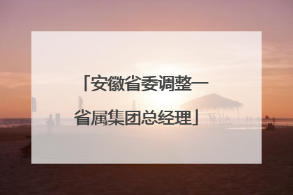 安徽省委调整一省属集团总经理