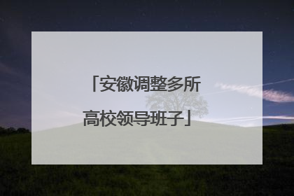 安徽调整多所高校领导班子
