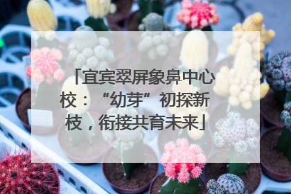 宜宾翠屏象鼻中心校：“幼芽”初探新枝，衔接共育未来