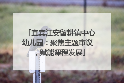 宜宾江安留耕镇中心幼儿园：聚焦主题审议，赋能课程发展