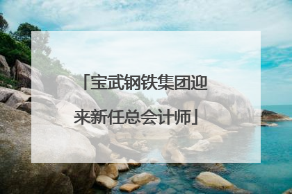 宝武钢铁集团迎来新任总会计师