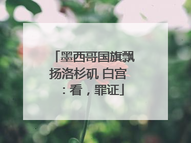 墨西哥国旗飘扬洛杉矶 白宫：看，罪证