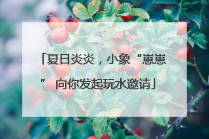 夏日炎炎，小象“崽崽” 向你发起玩水邀请