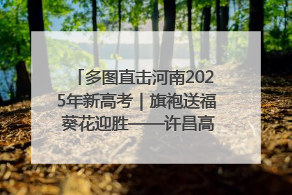 多图直击河南2025年新高考｜旗袍送福 葵花迎胜——许昌高考首日拉开帷幕