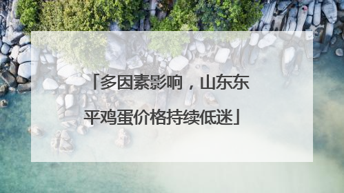 多因素影响，山东东平鸡蛋价格持续低迷