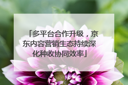 多平台合作升级，京东内容营销生态持续深化种收协同效率
