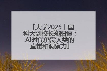 大学2025丨国科大副校长郑阳恒：AI时代仍需人类的直觉和洞察力