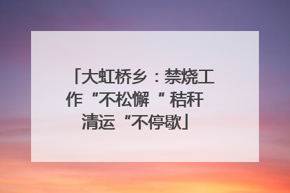 大虹桥乡：禁烧工作“不松懈“ 秸秆清运“不停歇