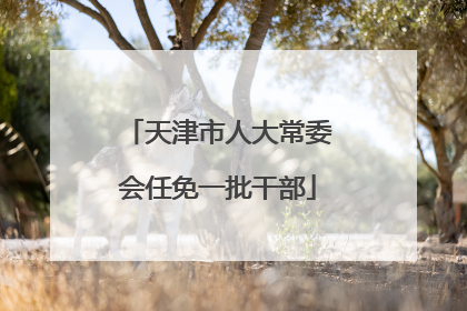 天津市人大常委会任免一批干部