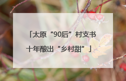太原“90后”村支书十年酿出“乡村甜”