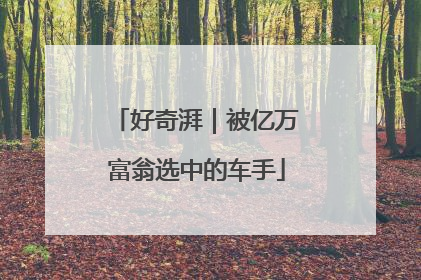 好奇湃｜被亿万富翁选中的车手