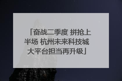 奋战二季度 拼抢上半场 杭州未来科技城大平台担当再升级