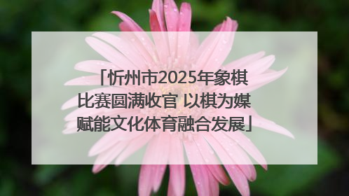 忻州市2025年象棋比赛圆满收官 以棋为媒赋能文化体育融合发展