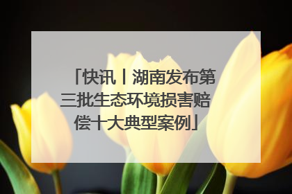 快讯丨湖南发布第三批生态环境损害赔偿十大典型案例