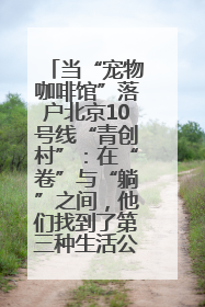 当“宠物咖啡馆”落户北京10号线“青创村”：在“卷”与“躺”之间，他们找到了第三种生活公式