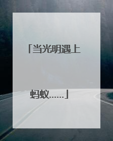 当光明遇上蚂蚁……