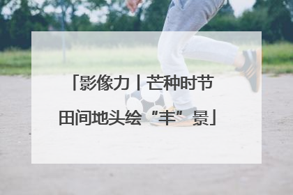 影像力丨芒种时节 田间地头绘“丰”景
