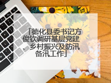 德化县委书记方俊钦调研基层党建、乡村振兴及防汛备汛工作