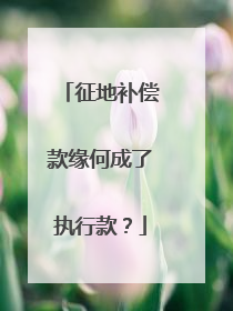 征地补偿款缘何成了执行款？